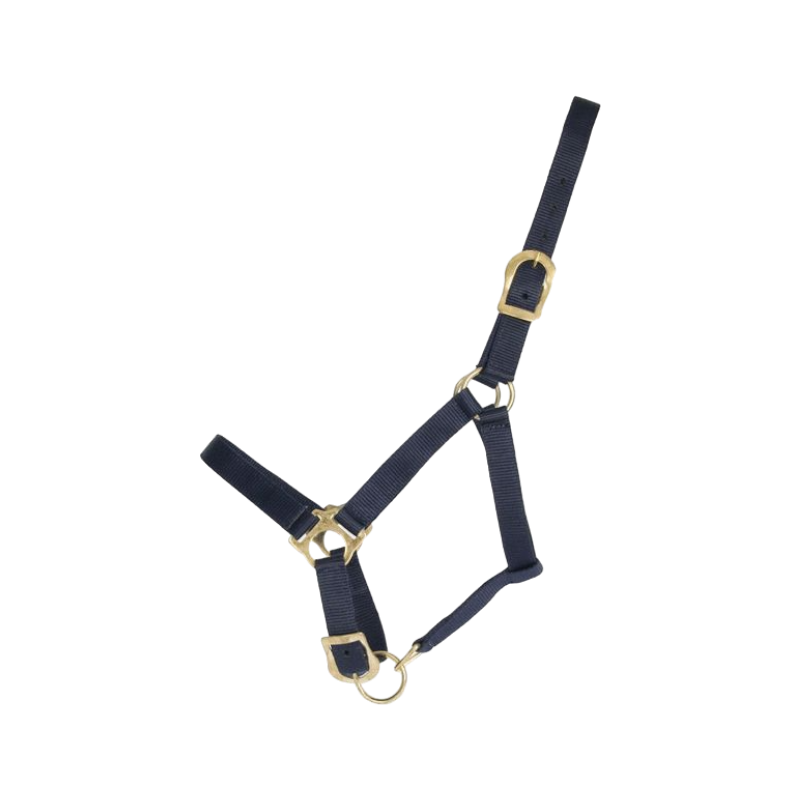 TdeT - Navy synthetic halter