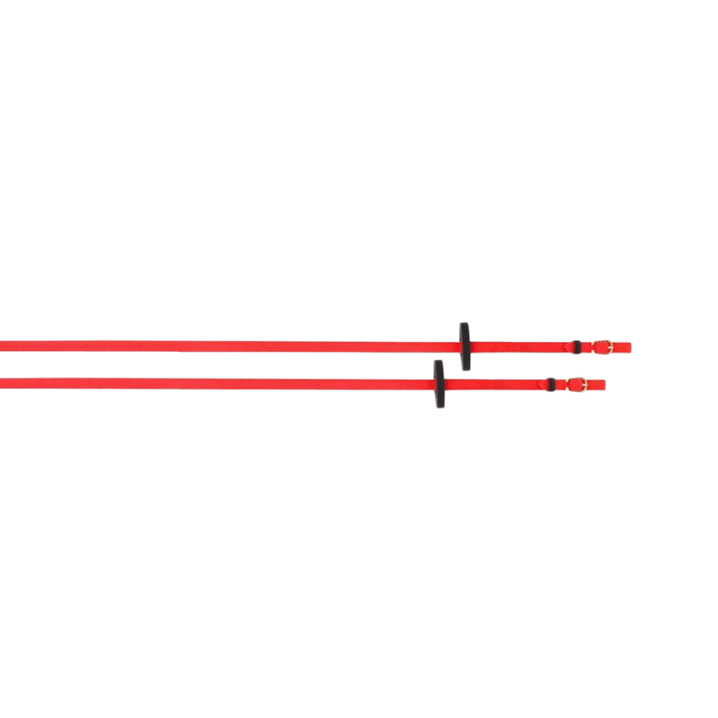 TdeT - Biotack® reins smooth red