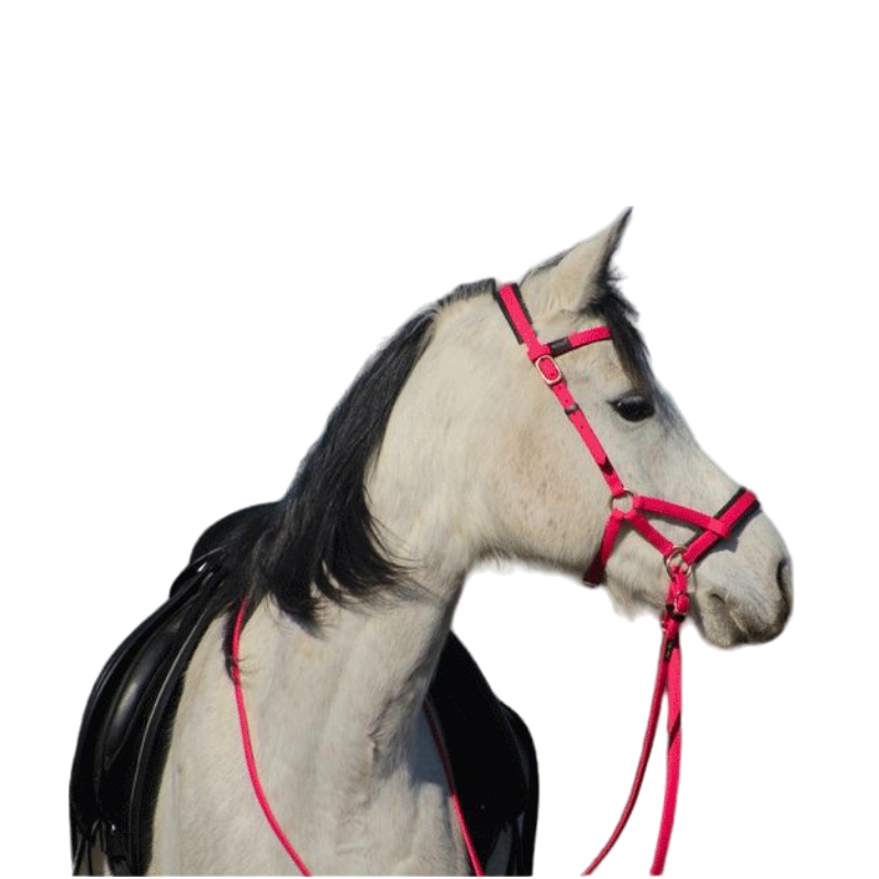 TdeT - Sidepull Biotack® bridle fuchsia