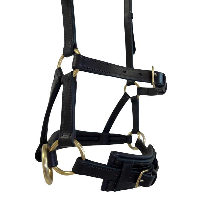 TdeT - Sidepull en cuir No More havane foncé