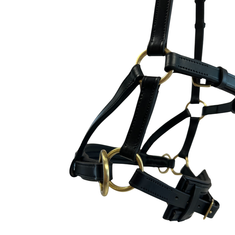 TdeT - Sidepull en cuir No More noir