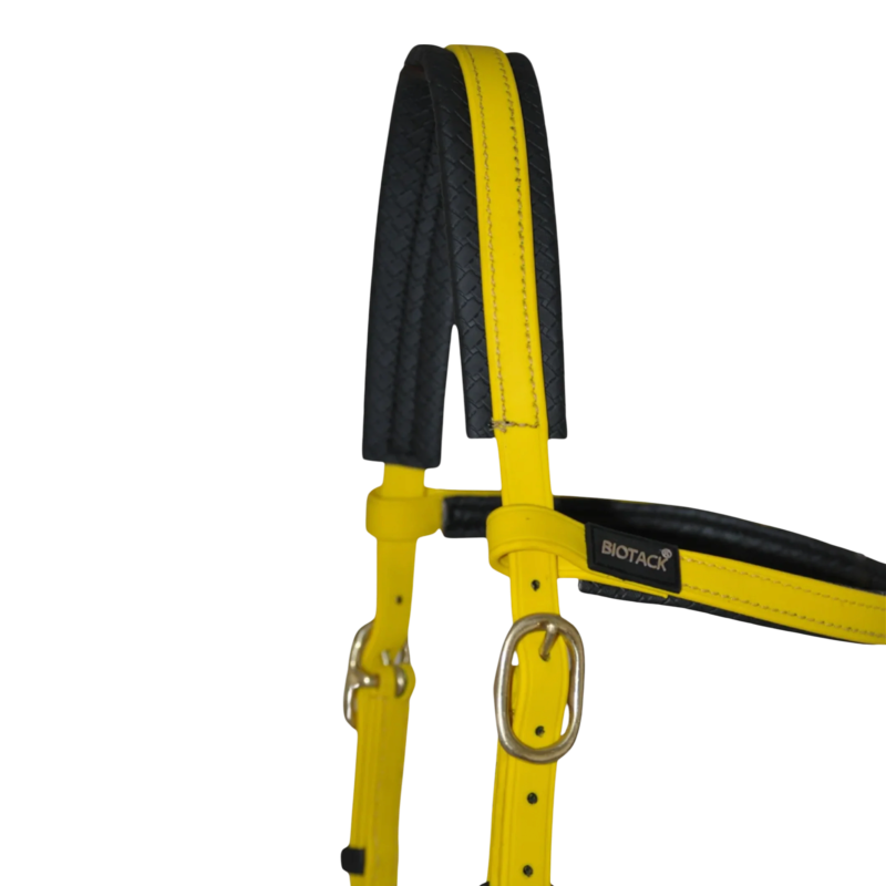 TdeT – gelbe Biotack®-Sidepull-Trense
