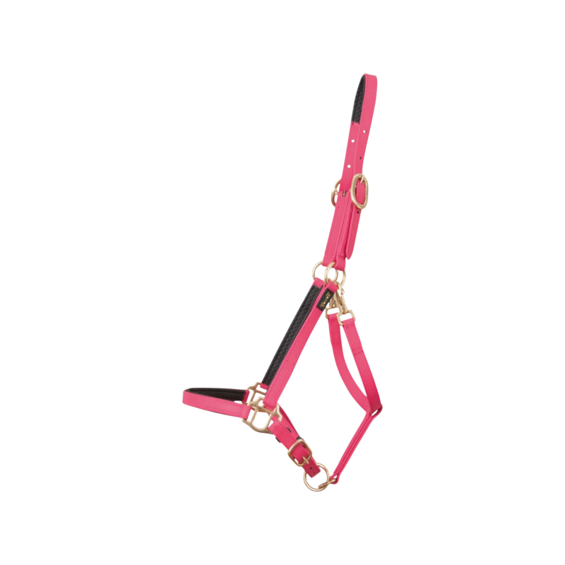TdeT – Biotack®-Halfter in Fuchsia