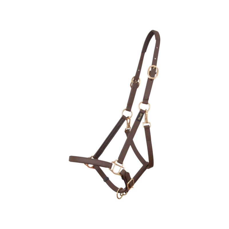 TdeT - Biotack®-Halfter, Braun