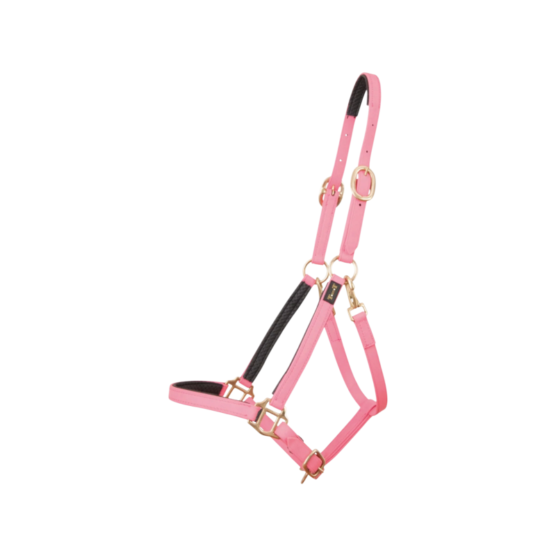 TdeT – Biotack®-Halfter in Rosa