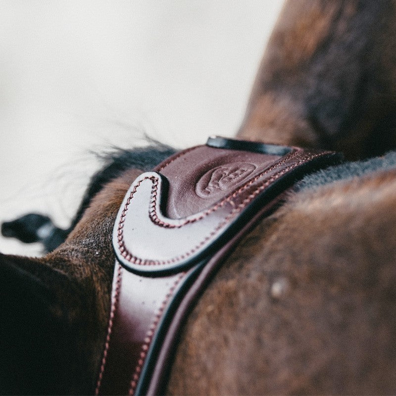 Jump'In - Evolution headstall + reins hazelnut | - Ohlala