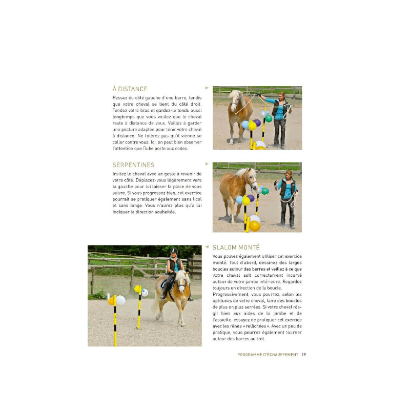 Vigot - Livre 20 Tours de cirque avec votre cheval