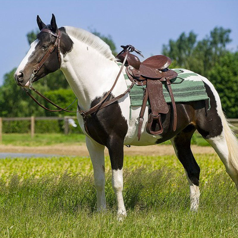 Westride - Selle Western Topeka havane cheval de trait | - Ohlala