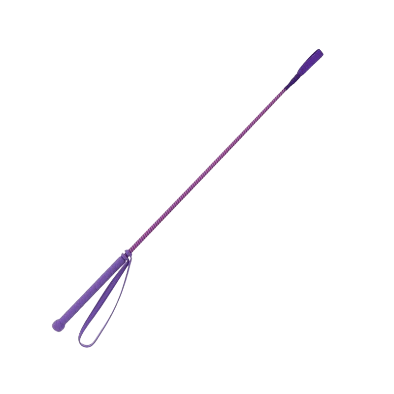 Whip & Go - Cravache New Six violet/rose