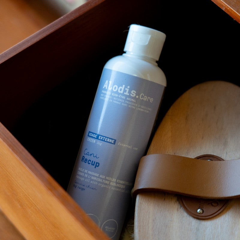 Alodis Care - Cani Massage Oil Recup for dogs