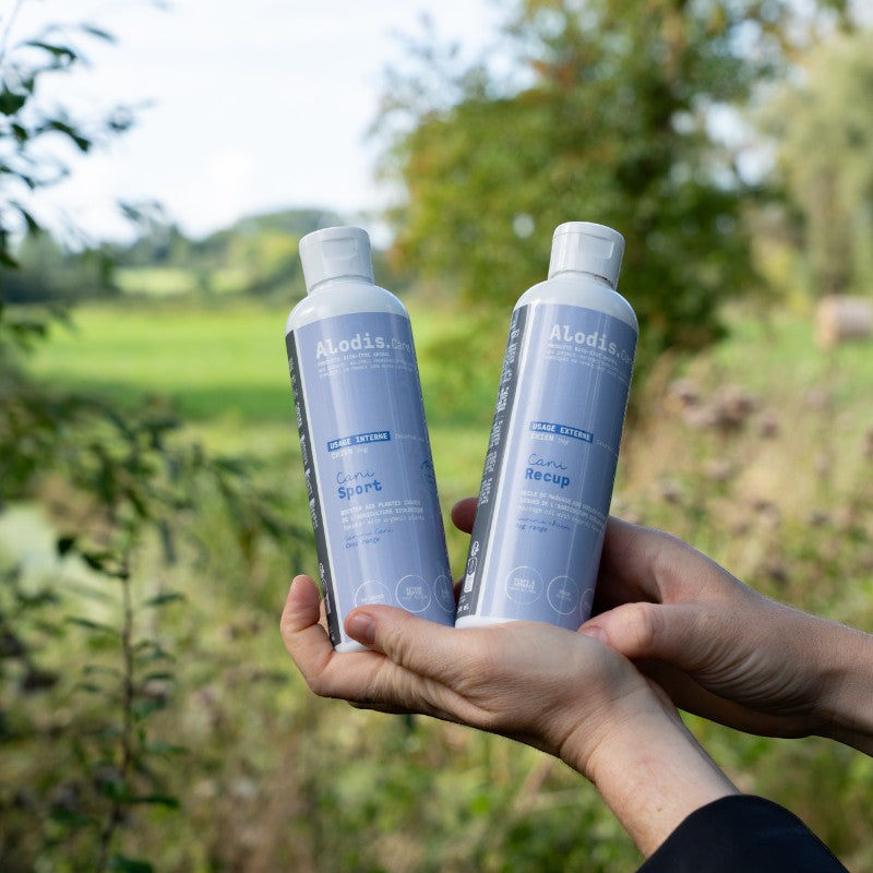 Alodis Care - Cani Massage Oil Recup for dogs