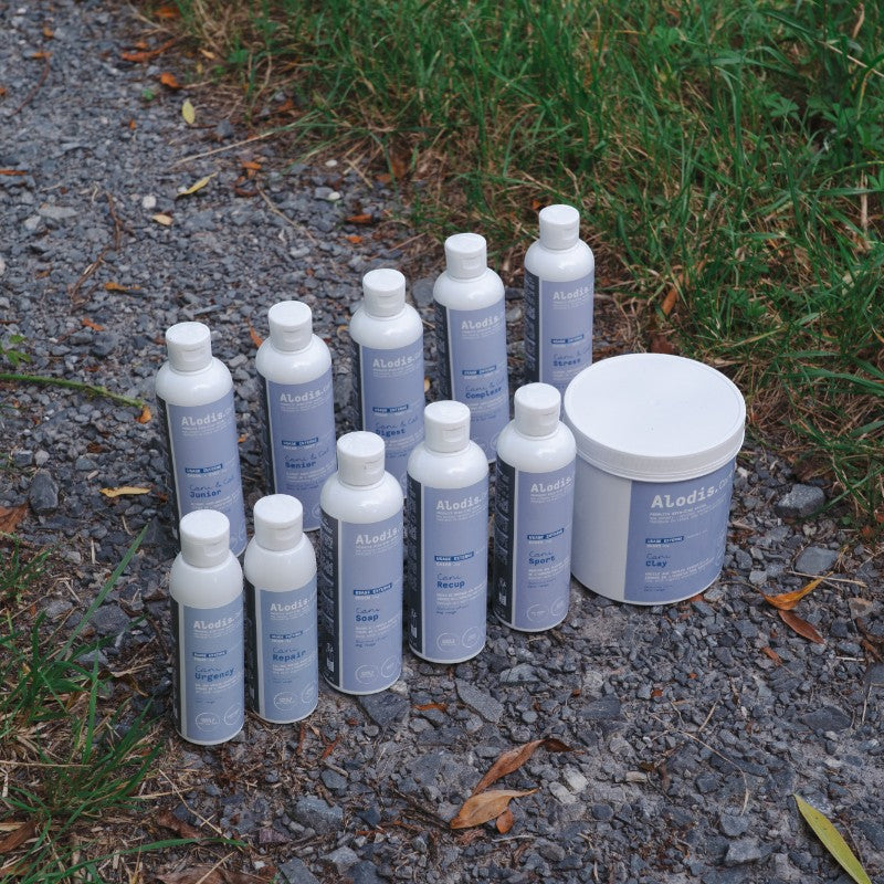 Alodis Care - Cani Soap hair beauty and shine dog shampoo