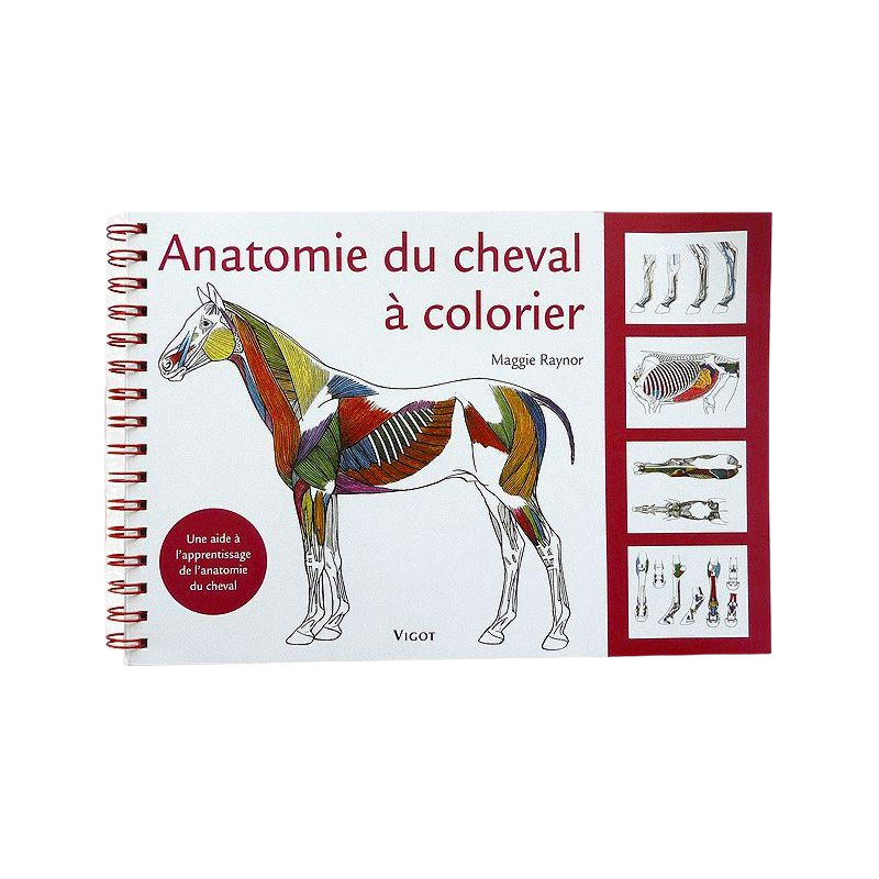 Vigot - Anatomie du cheval à colorier | - Ohlala