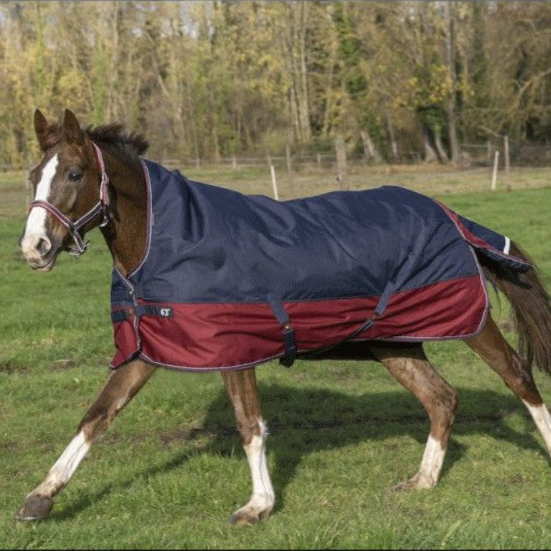 Equithème - Tyrex 1200D high neck outdoor blanket navy/burgundy 50g