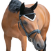 Paddock Sports - Origine Black Fly Veil | - Ohlala