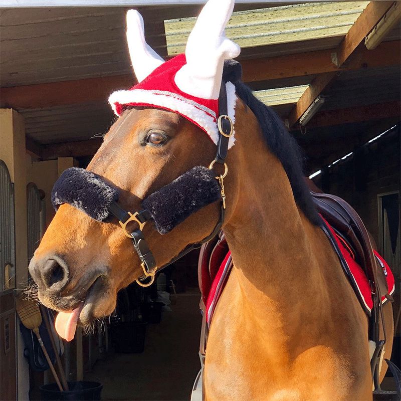 Bonnet pour chevaux en forme bois de renne | - Ohlala