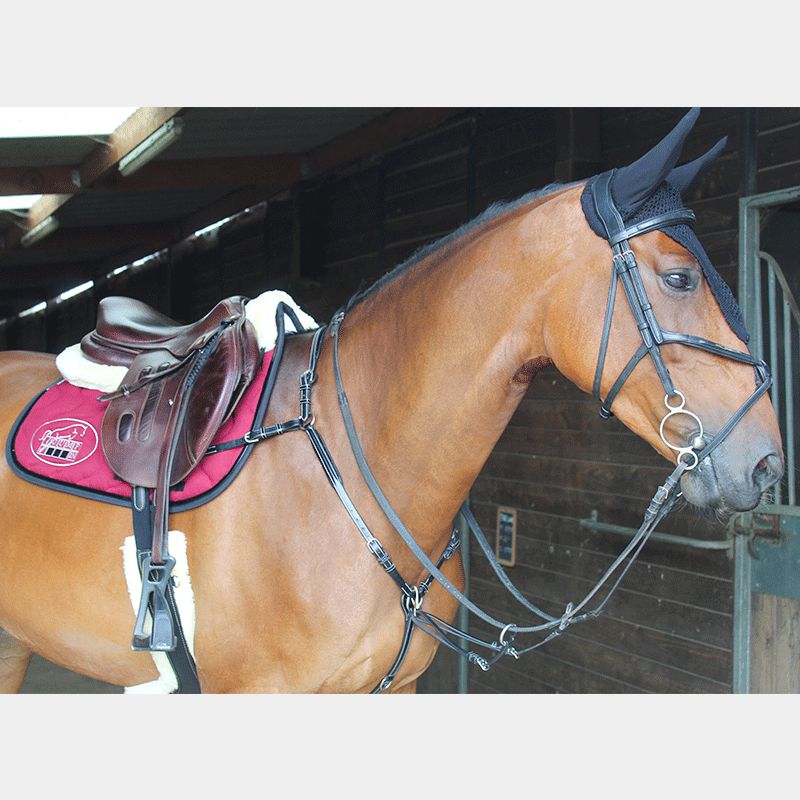 Equiline - Bonnet long pour chevaux | - Ohlala