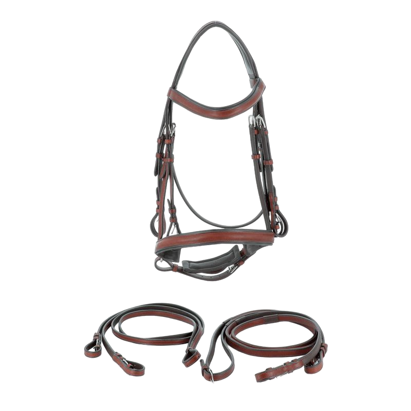 Flags &amp; Cup - Hagen bridle with brown reins 