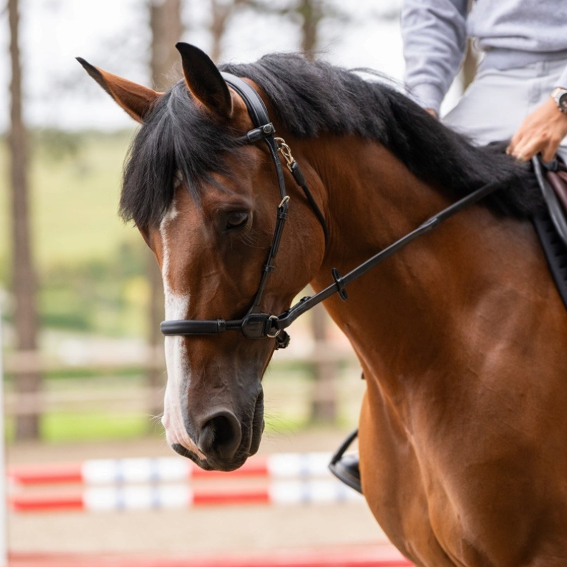 Jump'In - Origin bitless bridle in black