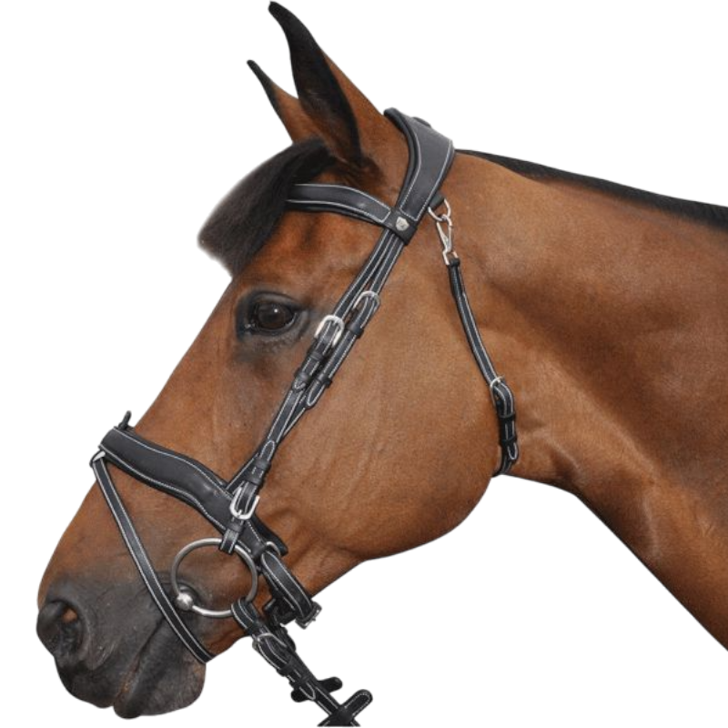 Flags &amp; Cup - Comfort bridle combined with black reins