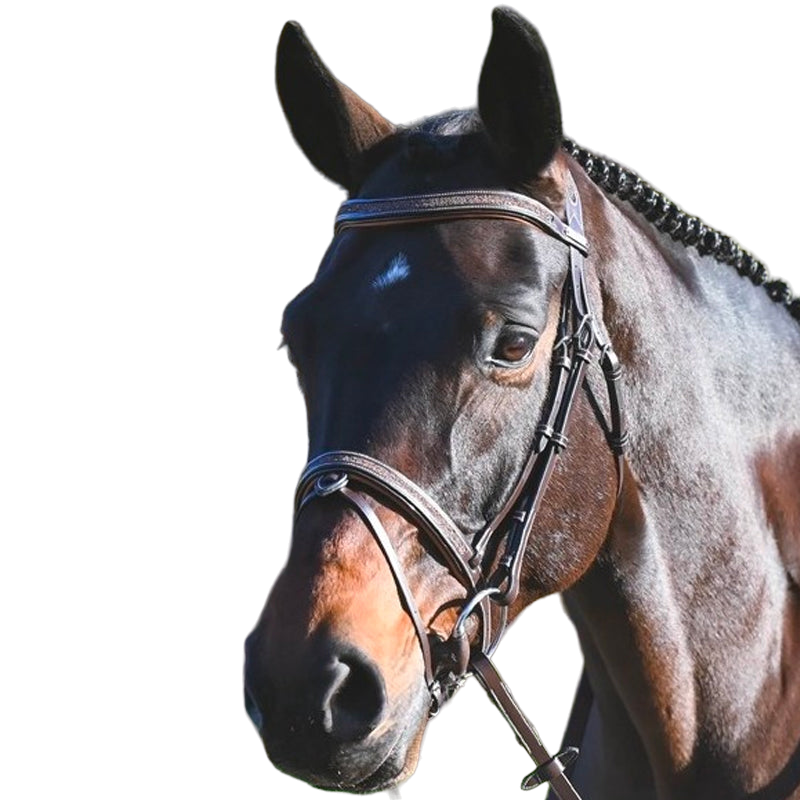 Racer - Chaussette d'équitation Compression noir (x1)