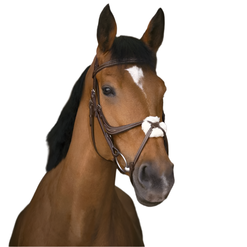 Norton - Havana cross noseband bridle