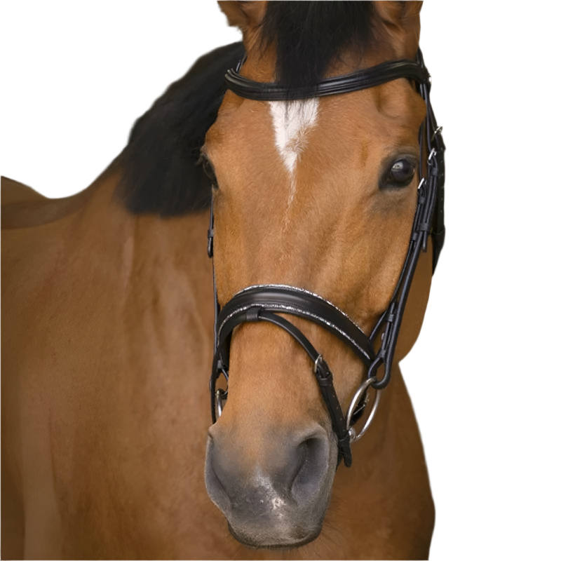 Norton - Black rock bridle