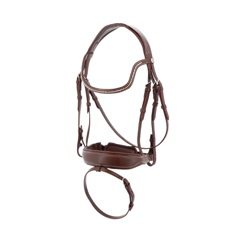 Norton Pro - Miss Havana Bridle