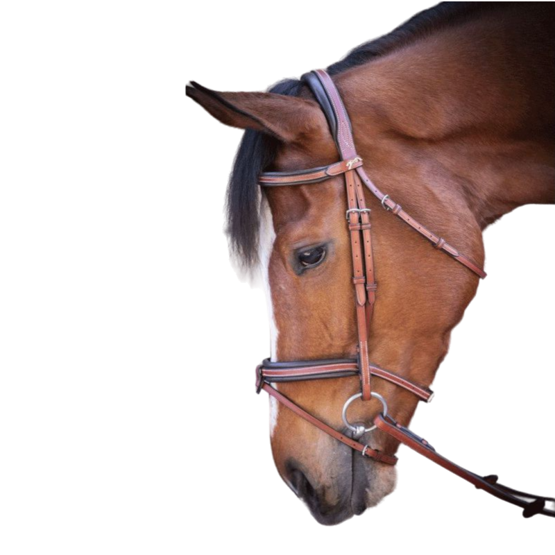 Pénélope Store - US hazelnut bridle