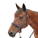 Canter - Licol nylon doublé marine | - Ohlala