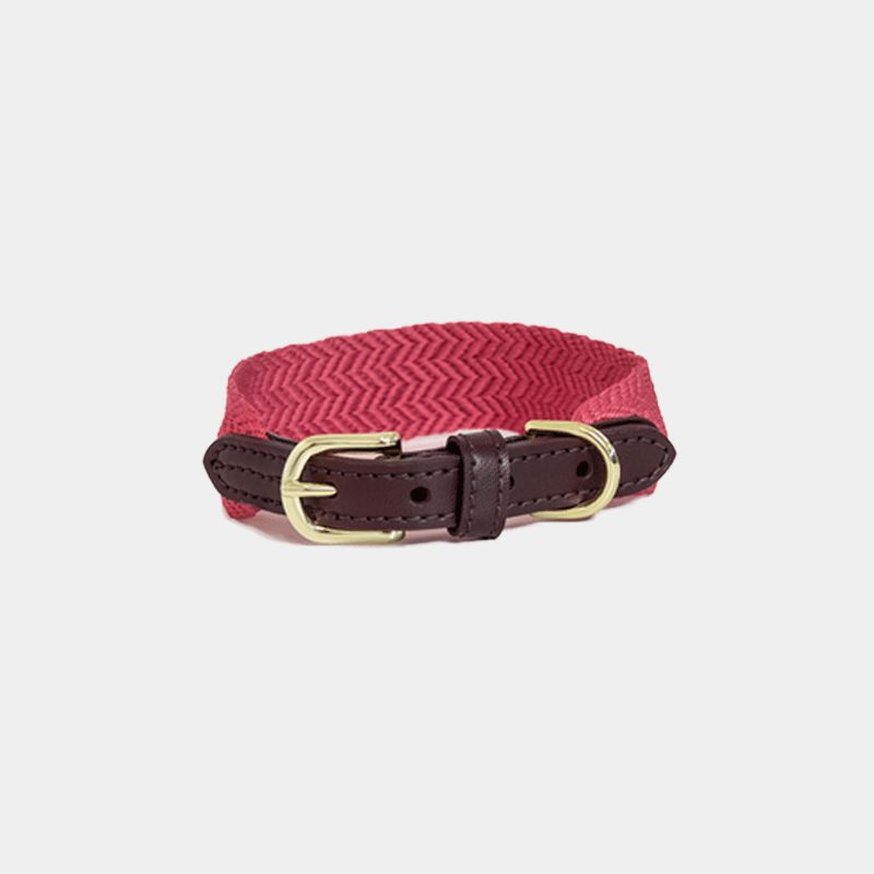 Kentucky Horsewear - Collier pour chien Jacquard rose | - Ohlala