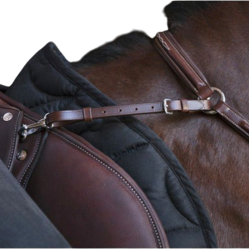 Norton Pro - Collier de chasse havane