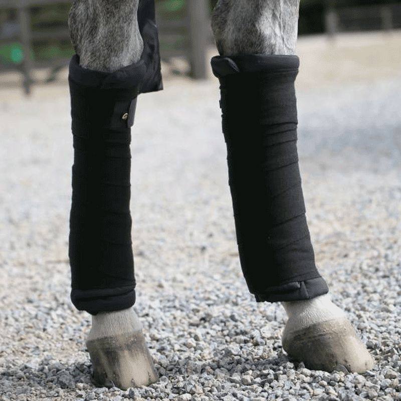 Kentucky Horsewear - Cotons américains noir | - Ohlala