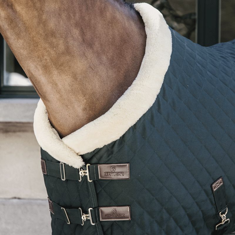 Kentucky Horsewear - Couverture de présentation 160g Vert | - Ohlala