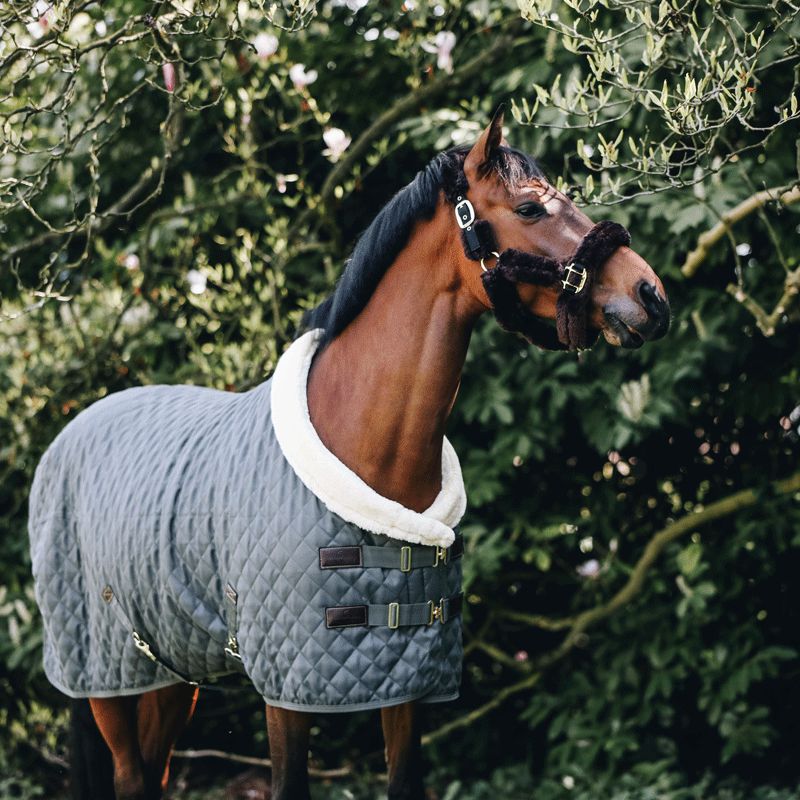 Kentucky Horsewear - Couverture de présentation 160g grise | - Ohlala