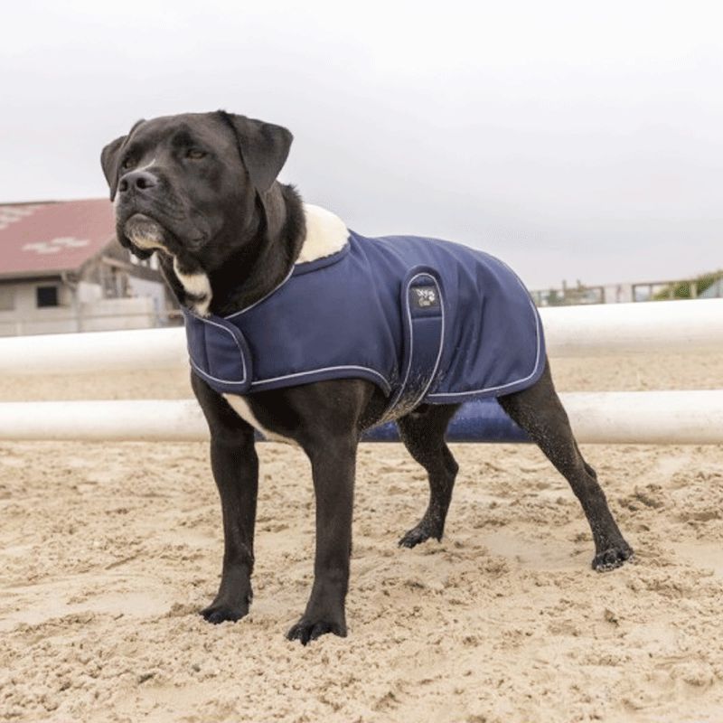 Diego & Louna - Couverture pour chien nylon marine | - Ohlala