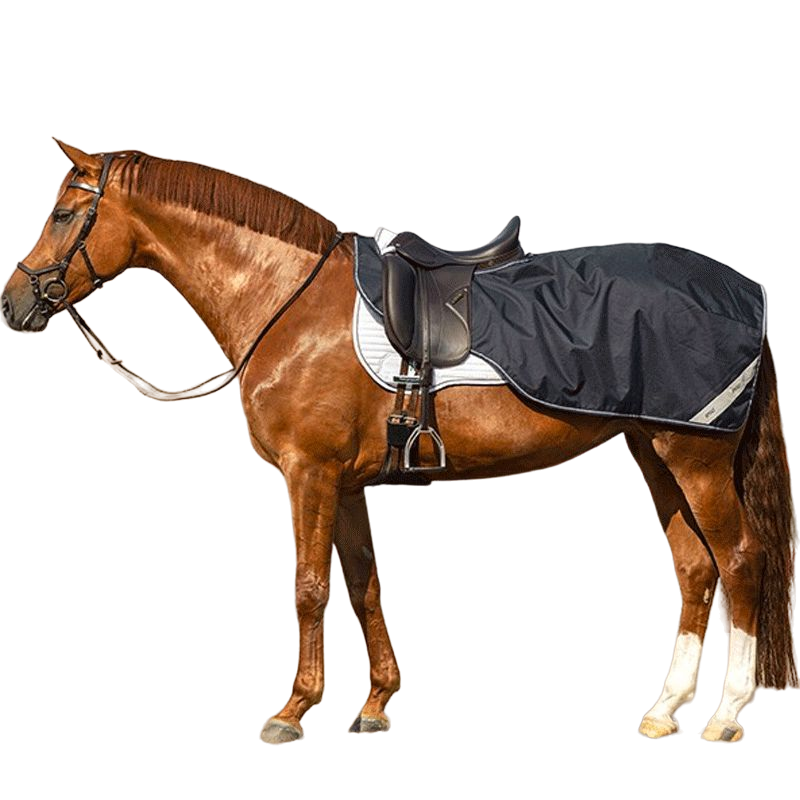 Horseware - Couvre-reins imper doublé polaire 600D marine | - Ohlala