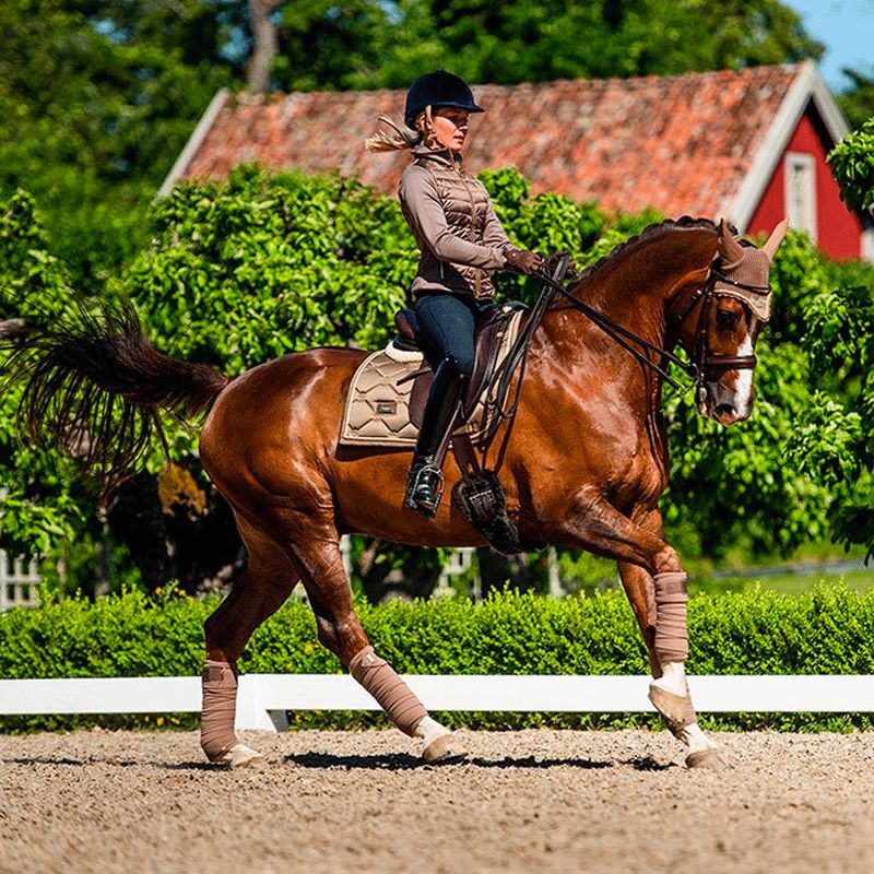 Equestrian Stockholm - Tapis de dressage Champagne | - Ohlala