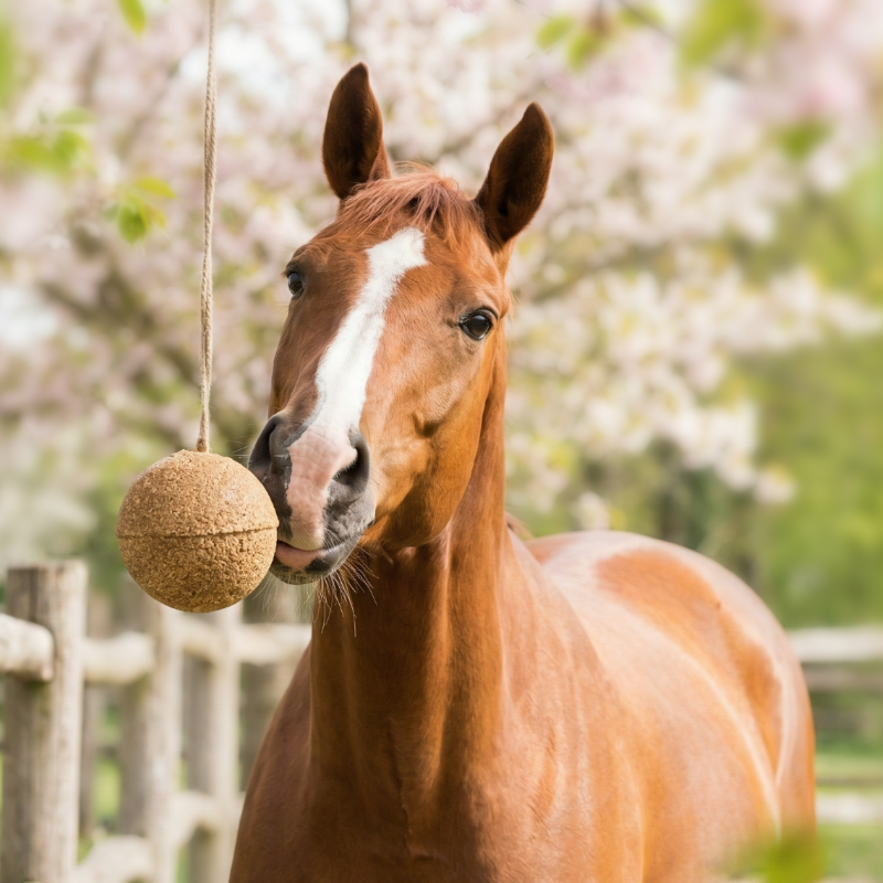 Unika - Integratore alimentare Unika Balls Endurance