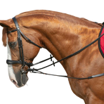 Norton - Enrênement élastique court/poulies noir | - Ohlala