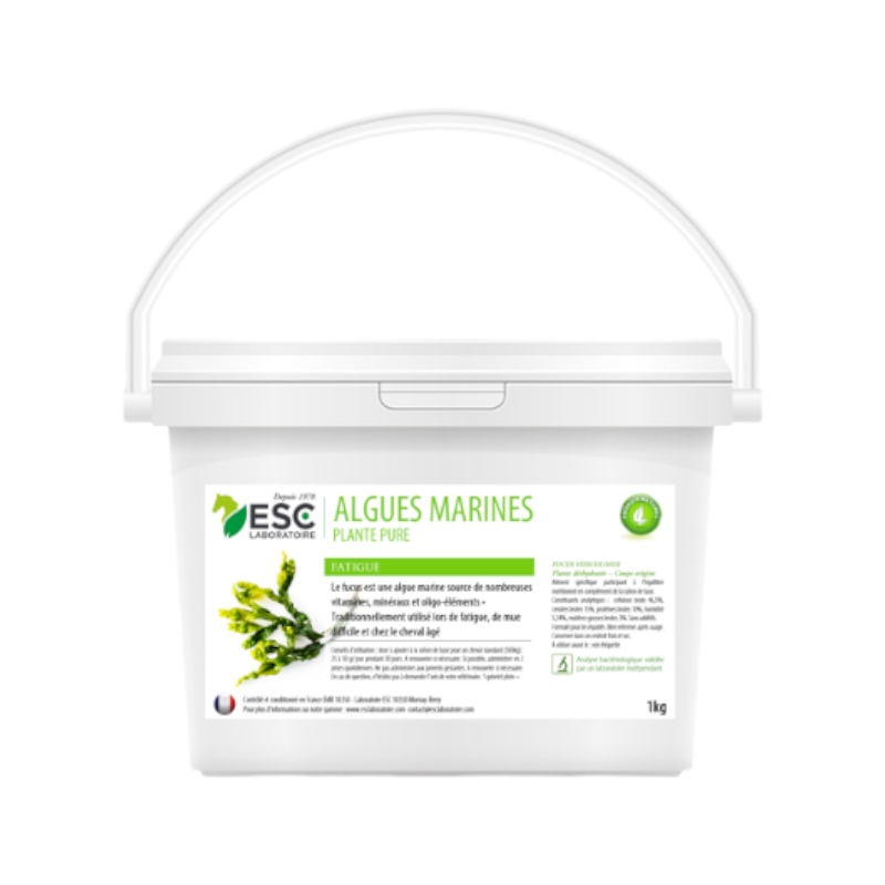 ESC Laboratoire - Marine algae food supplement fatigue and loss of form 1kg