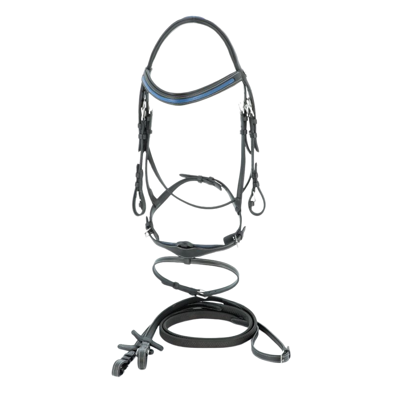 Flags &amp; Cup - Paris combined bridle with black reins
