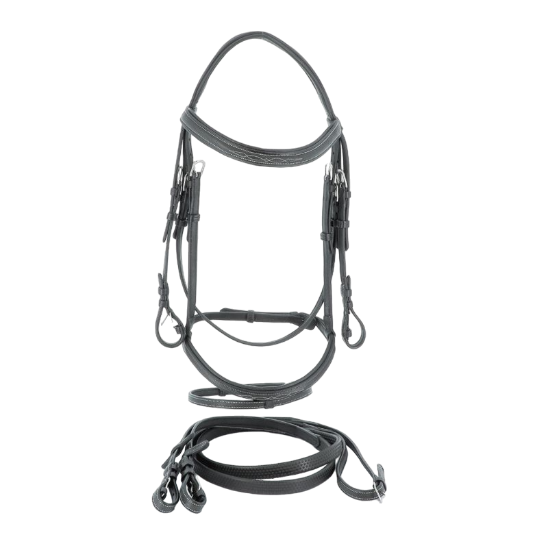 Flags &amp; Cup - Wellington bridle with black reins