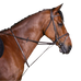 Riding World - Martyngał pierścieniowy hawana | - Ohlala