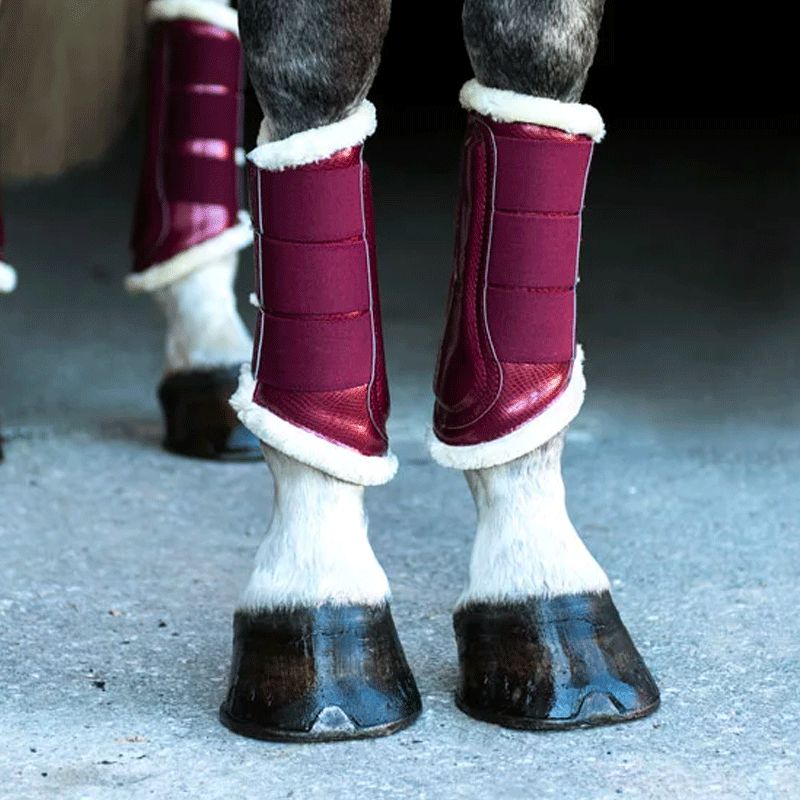 Equestrian Stockholm - Guêtres de dressage Bordeaux | - Ohlala