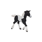 PAPO - Black Irish COB foal | - Ohlala