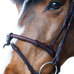 Jump'In - Halfter mit kombiniertem Seilnasenriemen Evolution havanna | - Ohlala