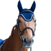 Jump'In - Balthazar horse fly bonnet navy/lurex | - Ohlala