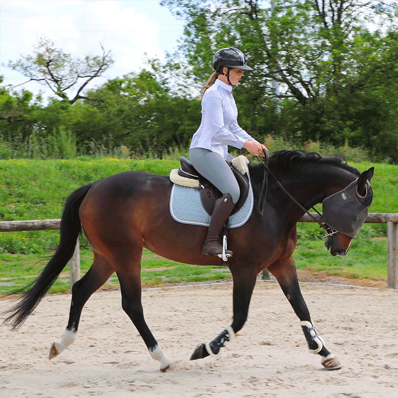 Jump'In - Pantalon d'équitation femme Super X Gris | - Ohlala