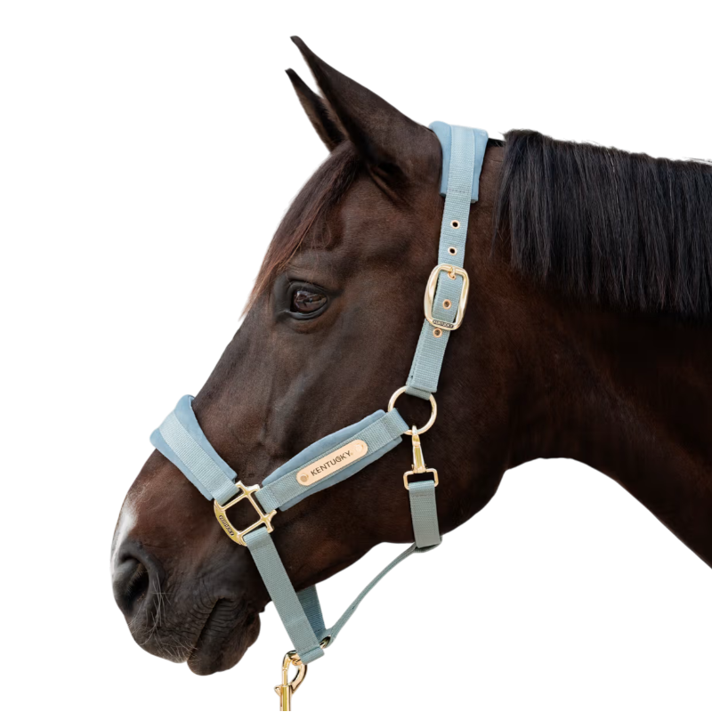 Kentucky Horsewear - Licol Velvet light blue